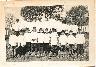 Casais de Revelhos - Abrantes, Escola Nova (Outubro de 1967)